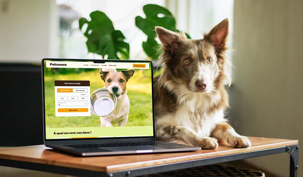 Image de couverture du projet Patounes